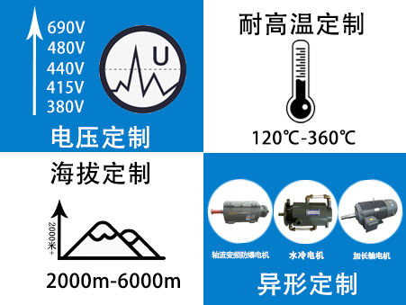 变频电机生产厂家